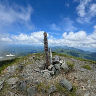 着いた〜
急登おつかれ山でした⛰️
平日でしたが他の登山者もおりお疲れさま〜と言い合い賑やかな山頂でした🌞