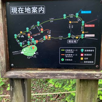 散策の予定が行けるとこまで行ってみた