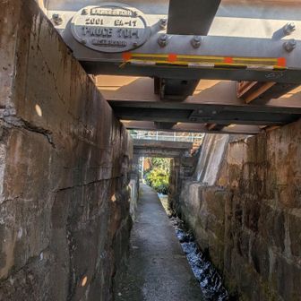 線路の下をくぐります
結構しゃがみます笑