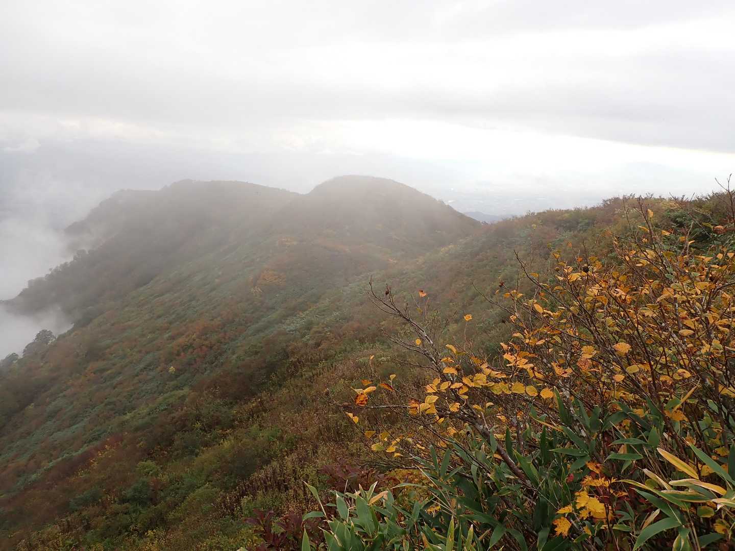小僧森-大僧森-葉山 往復コースの写真