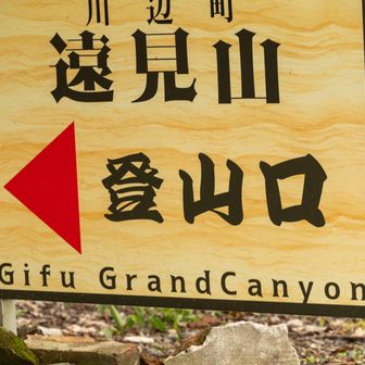 どんなグランドキャニオンを魅せてくれるか期待して登ったが