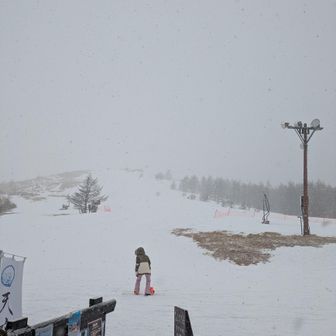 霧ヶ峰・車山・大笹峰 あっという間の吹雪でパウダースノー。