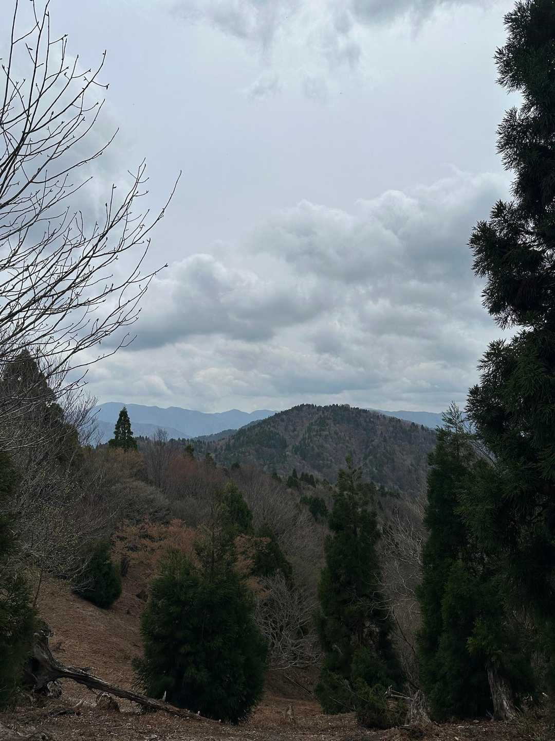 山々がキレイ