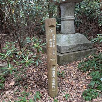 まだ２合目