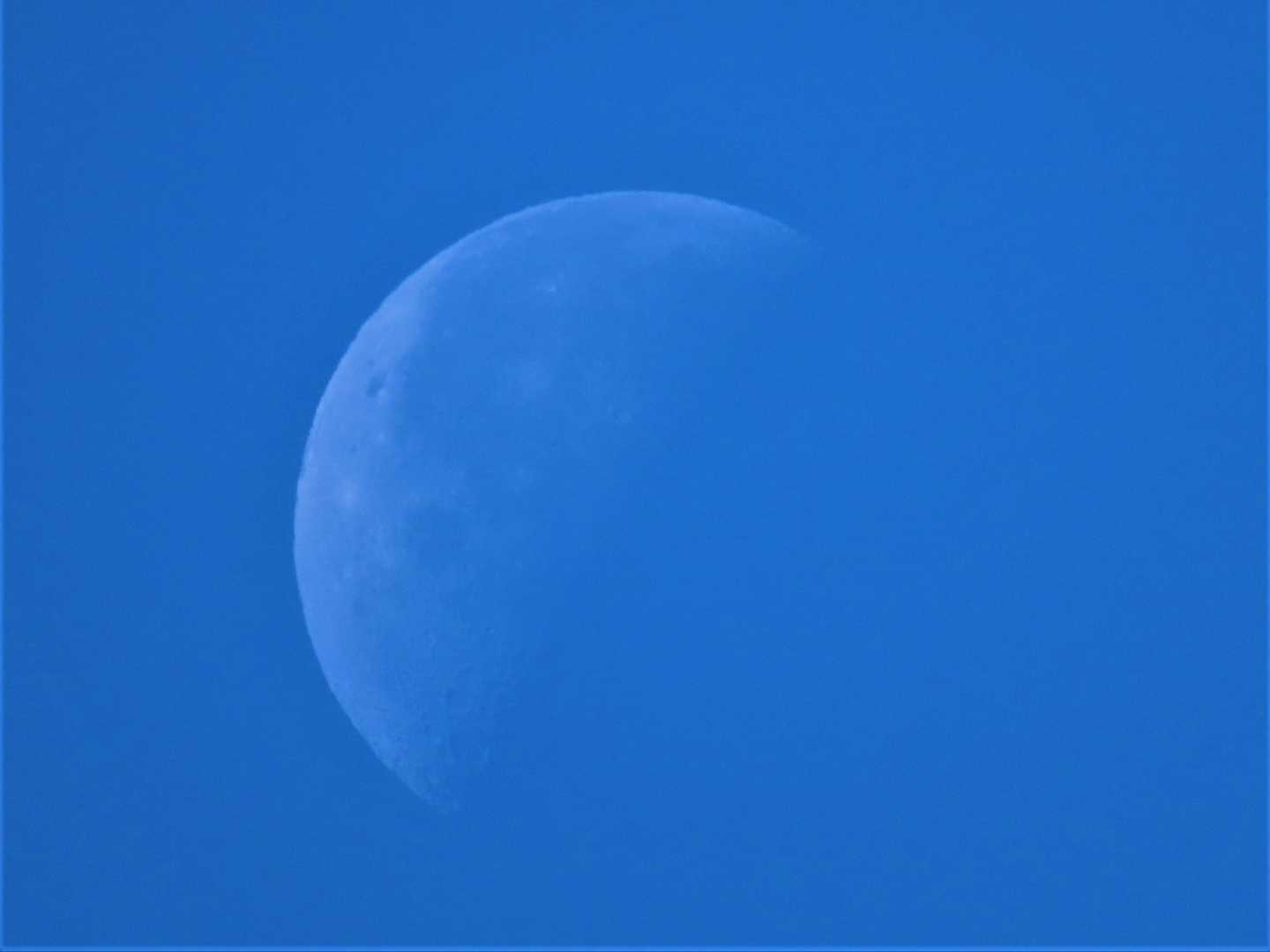 「長沼」の上に、白い半月が浮かんでいました。
