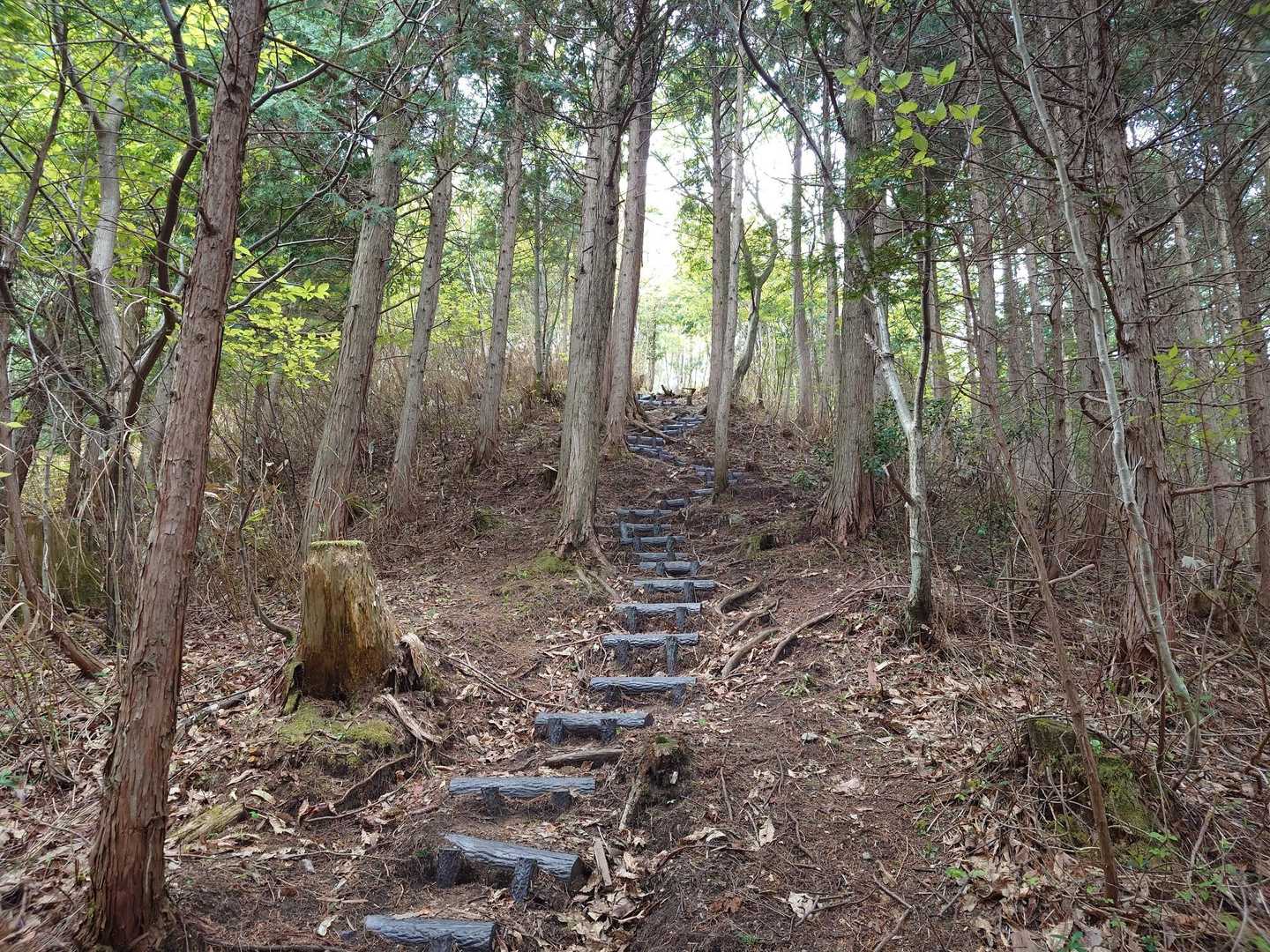 階段しんどい