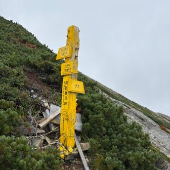右に行けば湯股に下山
私はまっすぐ野口五郎方面へ