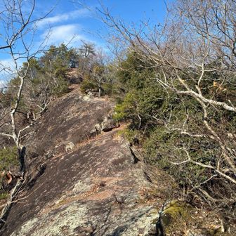 馬の背経由で景色見にいきます
