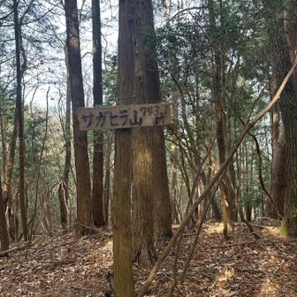 サガヒラ山頂上。眺望無し😳