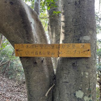 九州百名山トレーニングコースって
ここでお会いした方に、知らんけど〜🕶️って笑われた〜