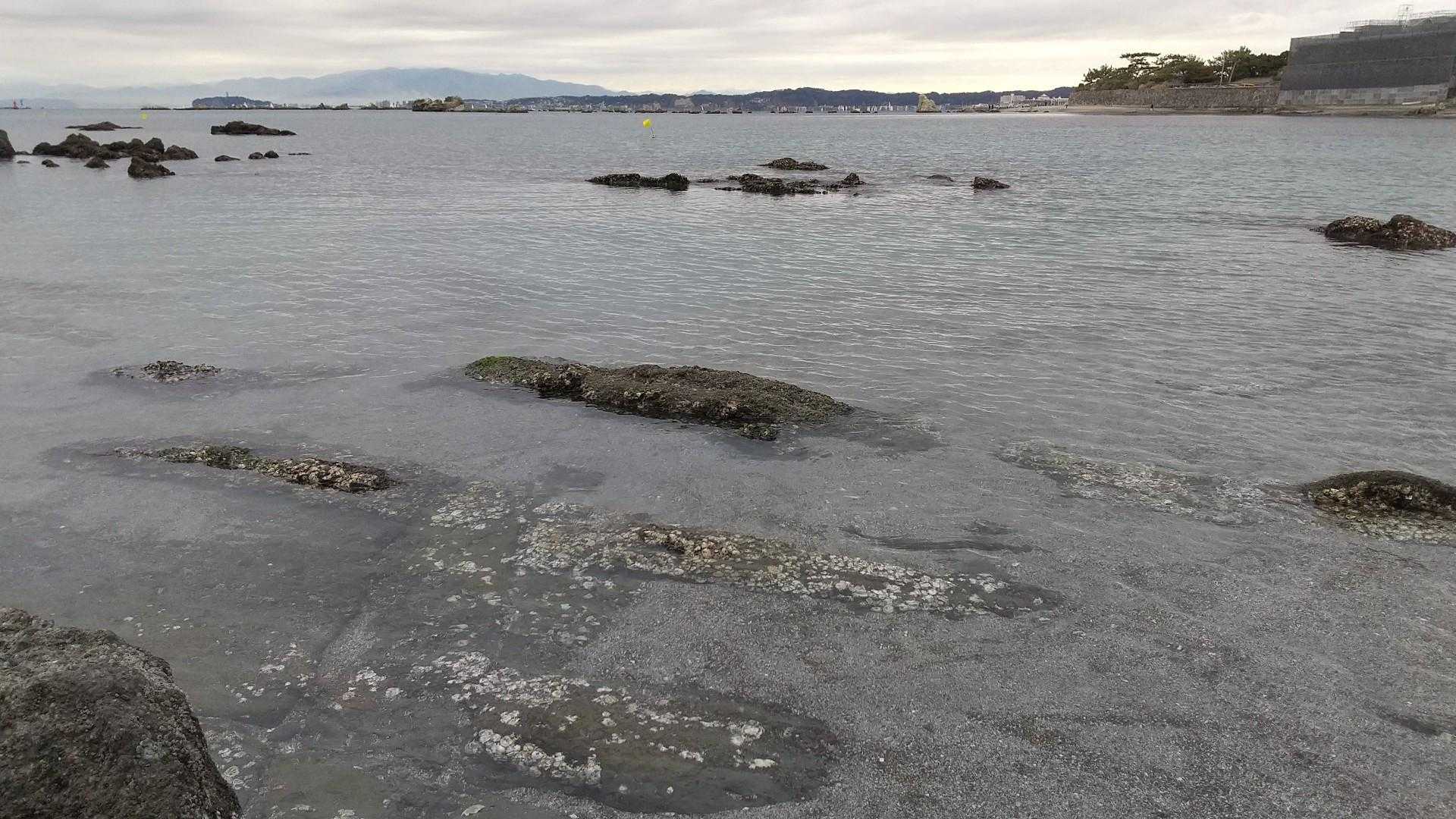 真名瀬海岸まで降りてきた！
水はとても綺麗✨