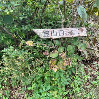 稜線から別ルートの立山ルートで登山口へ降ります。