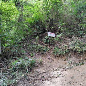 岩ゴロゴロなくなる
山道にかわり楽になる