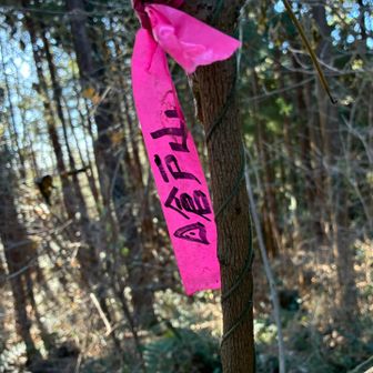 「△倉戸山」山頂標識
頭が斜めになりました