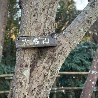 標高約140mの三ヶ岡山（大峰山）
☆*:.｡. o(≧▽≦)o .｡.:*☆