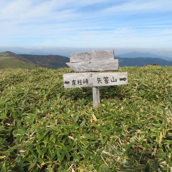 分岐