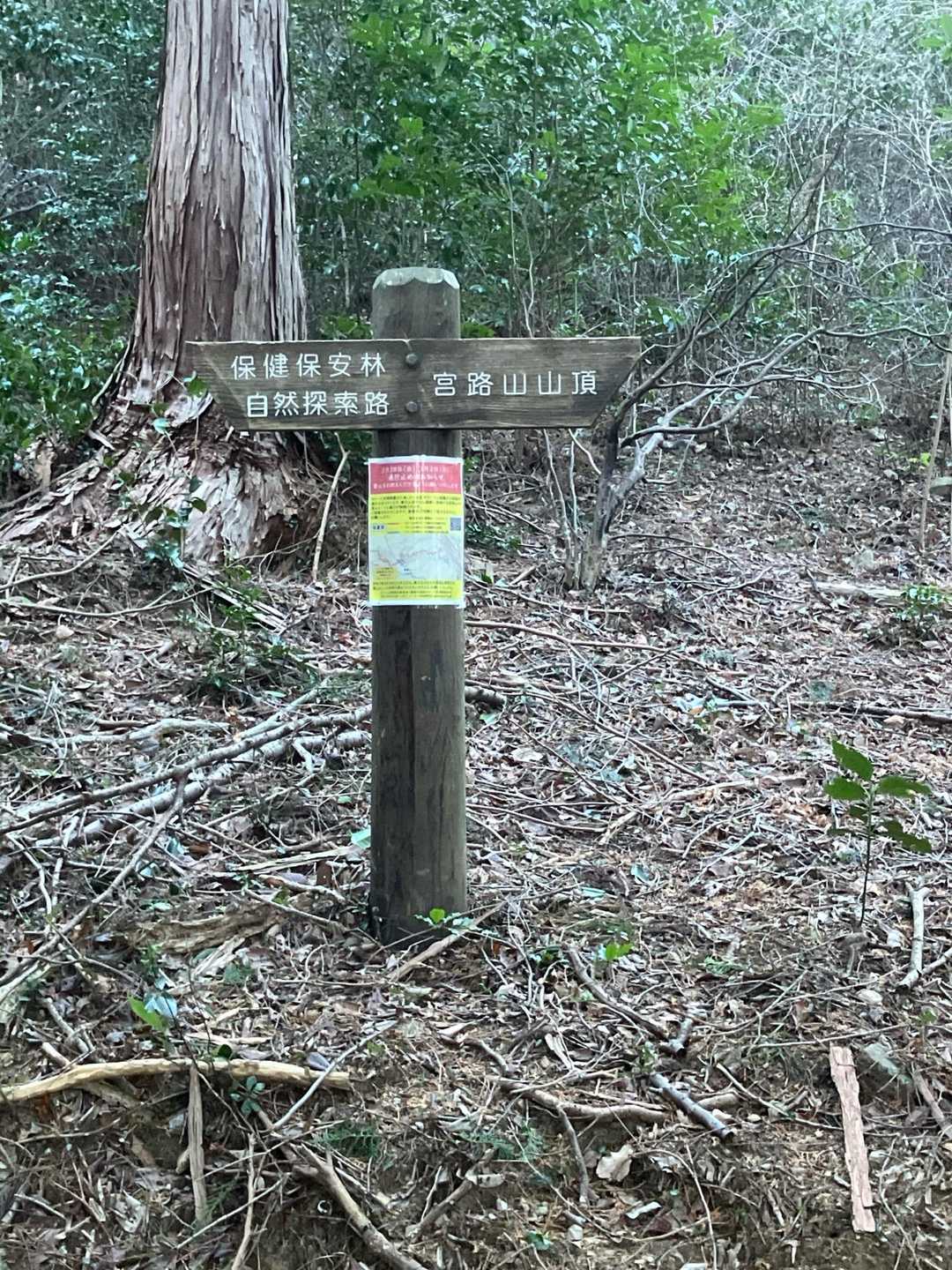 分岐まで来ましたが、ここも宮路山方面へ向かって行きました。