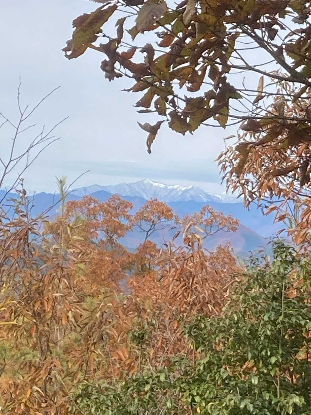 曇り空でスッキリとは見えませんが小津権現山も白い山頂を見せていました。⛰️