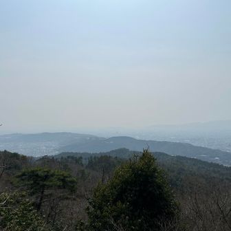 ちょっと霞んでますが
展望良きですね🎶