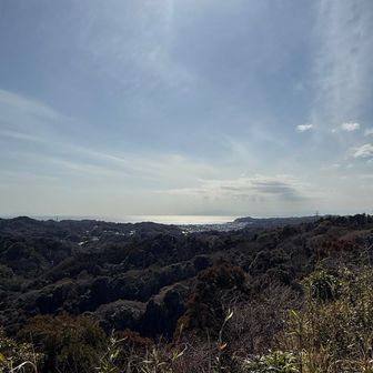 こちらは相模湾✨