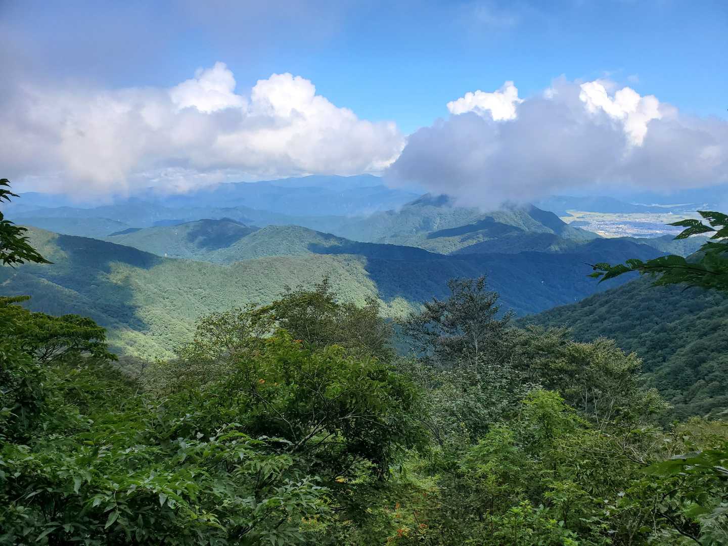 小葉谷登山口-銀杏峯-名松新道登山口 縦走コースの写真