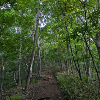 積丹岳の後で、整備された登山道のありがたみを感じる