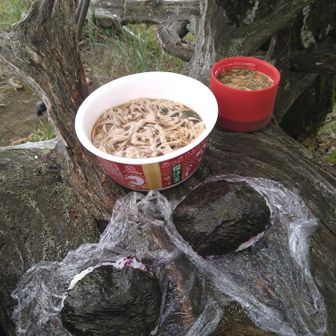 今日の昼メシも、ワイフ手作りのオニギリ、カップそば、春雨スープです🍚
