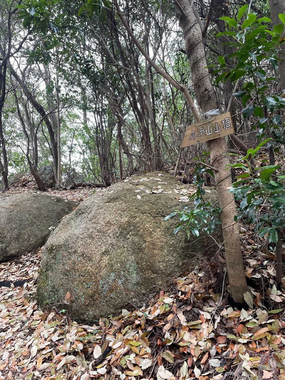 赤崎神社-小浜山登山入口-小浜山-赤崎登山口 周回コースの写真