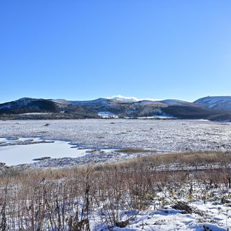 お疲れさまでした