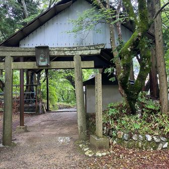 鳥居⛩️