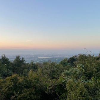 久米田池方面