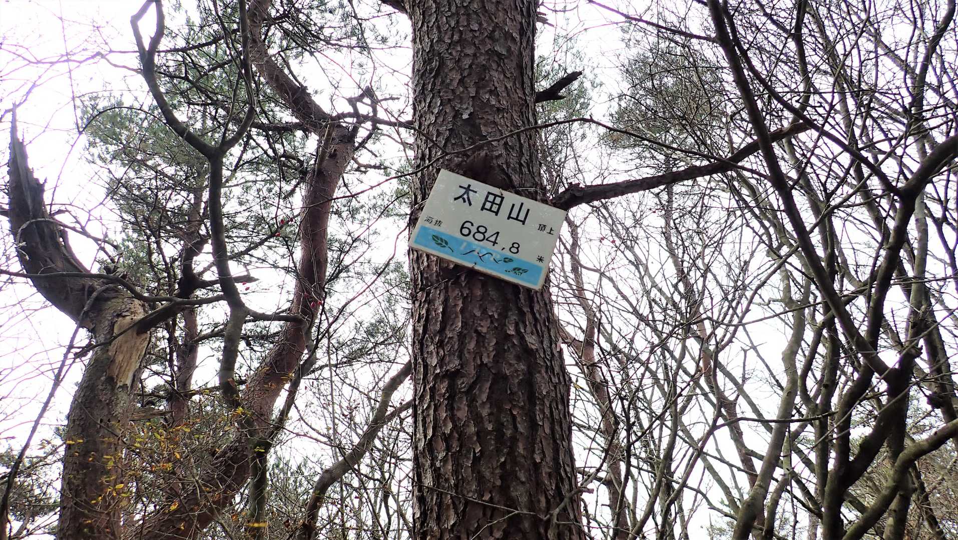 山頂プレート・・その①