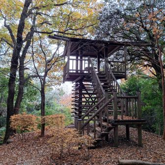 立派な展望台があった😃