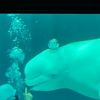 Ⓜ️ℹ︎ℹ︎   （みい）