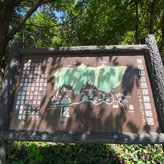 案内板
ここから岩松院まで1キロ強
ほぼ平で気持ちいいけど、今日は暑い！