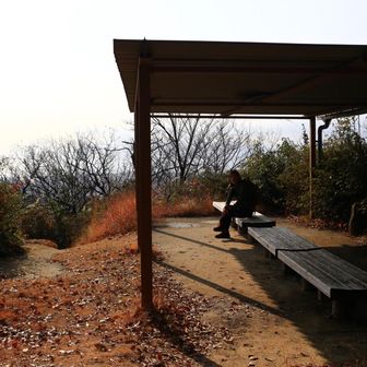 ここでmi-koから提案をされる🤭

「このアプリで写真を撮ると顔を加工してくれるんですよ‼️」
ならば試そうじゃないか‼️