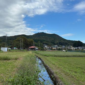 巾着田より見上げる