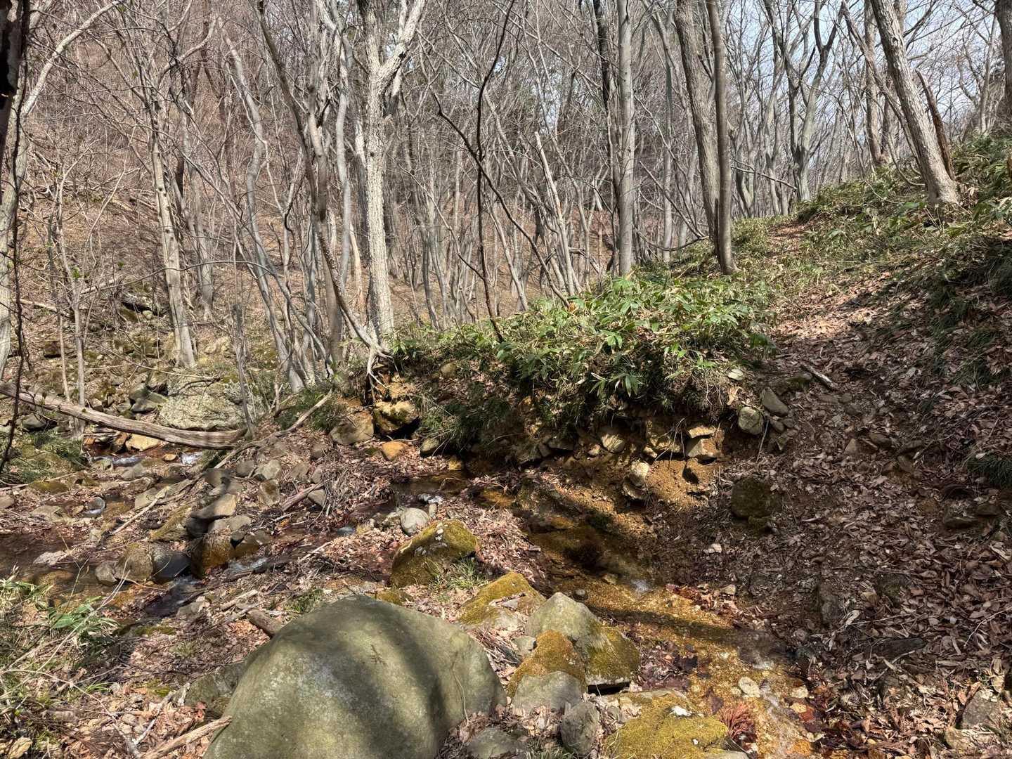 プチ渡渉が3回