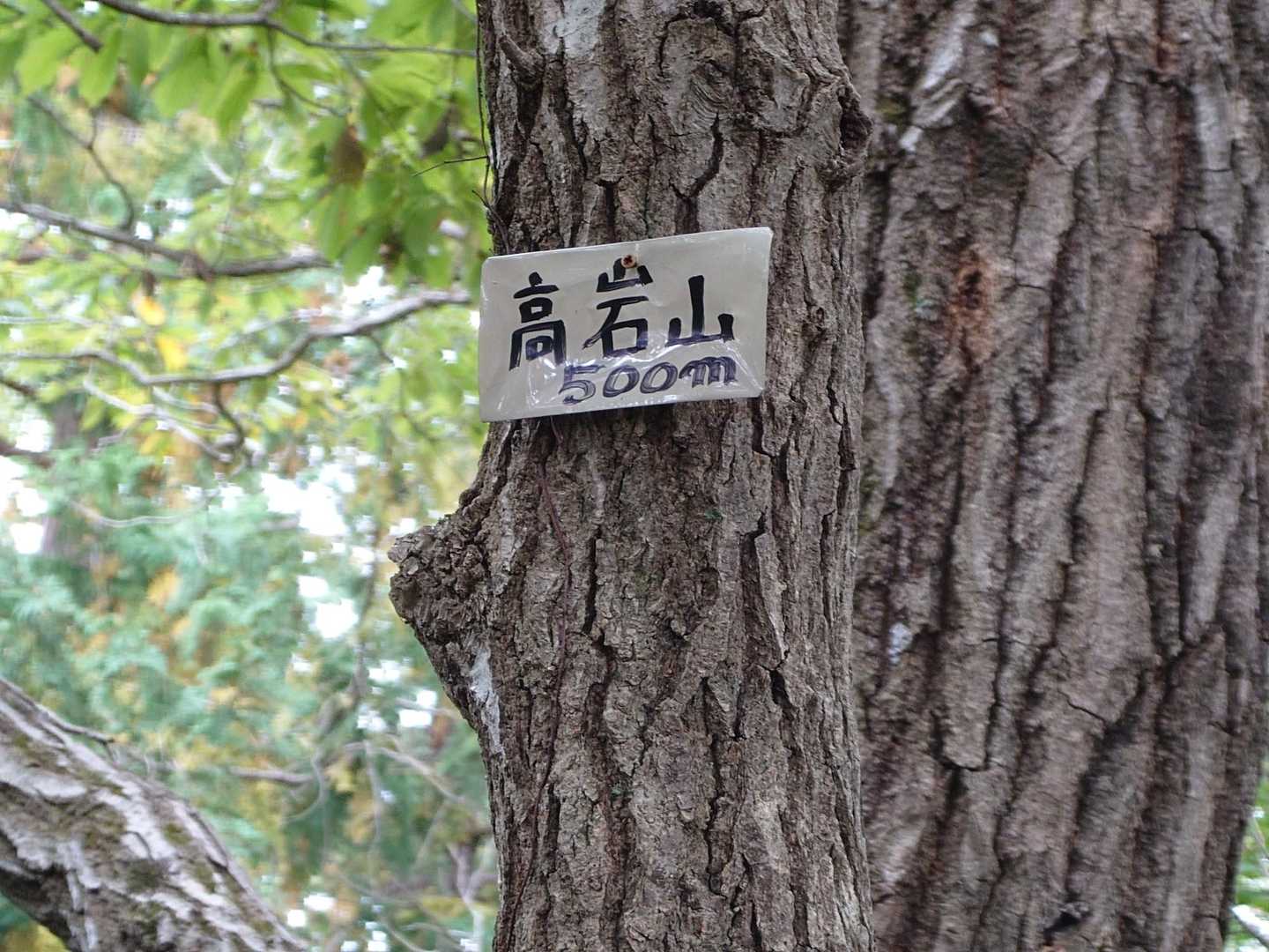 榎窪山-三沢峠-泰光寺山-西山峠-中沢山-中沢峠-大洞山 往復コースの写真