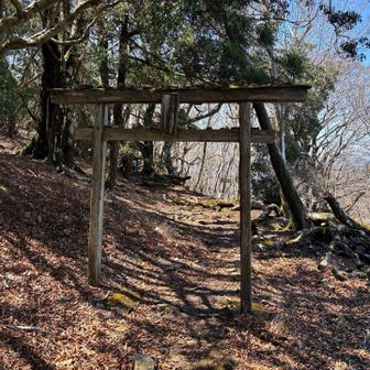 鳥居には「尾鈴神社」と書かれていました。