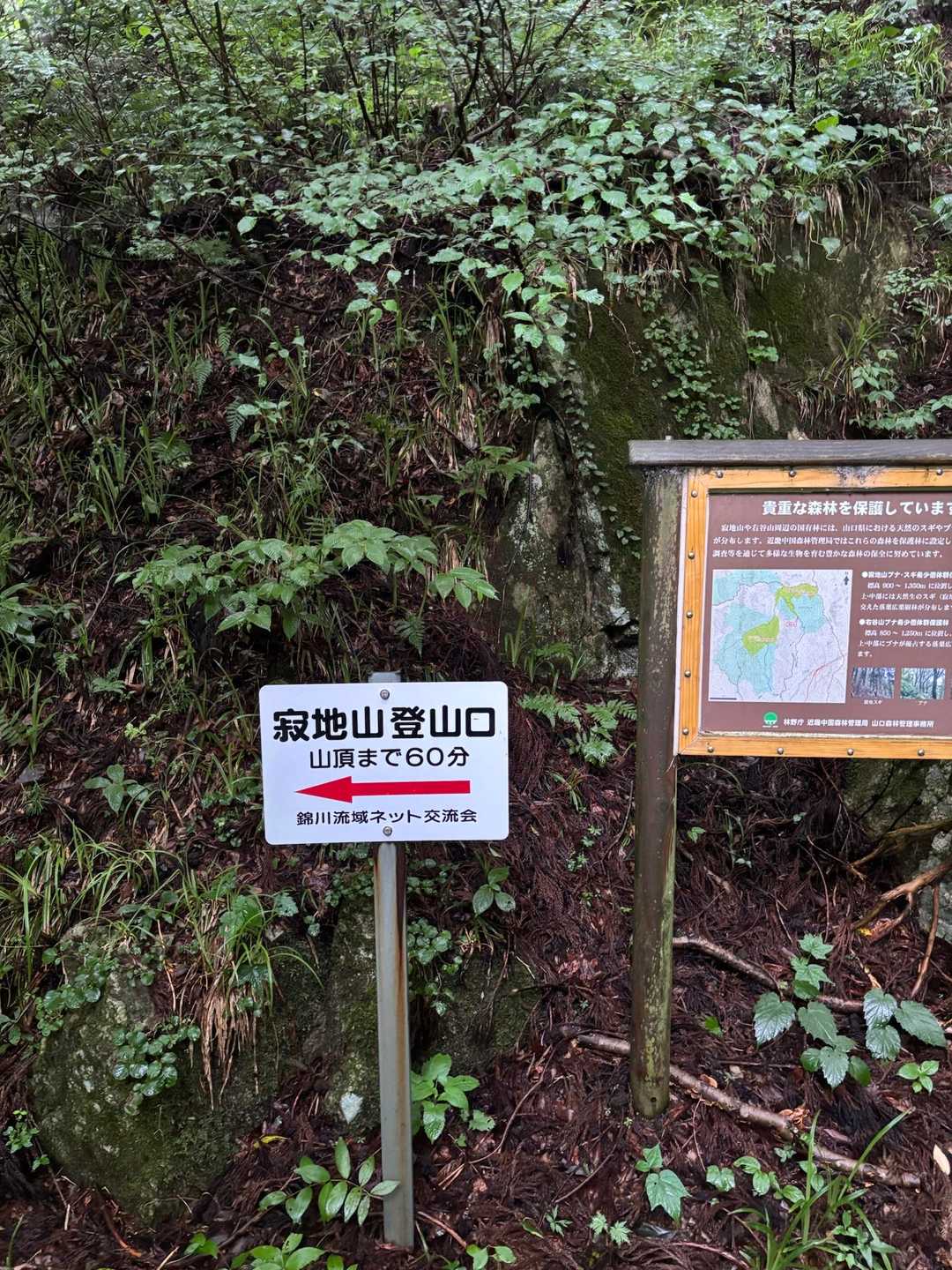 ようやく登山口。サングラス🕶️を落としたことに気づき、ピストン確定しました（笑）