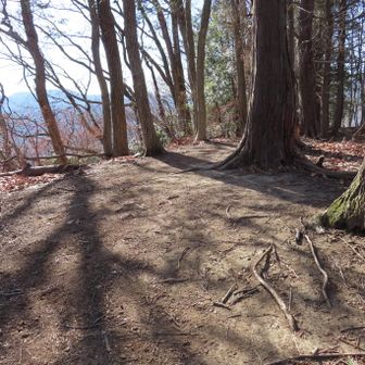 東高山に到着
山名版はありませんでした。