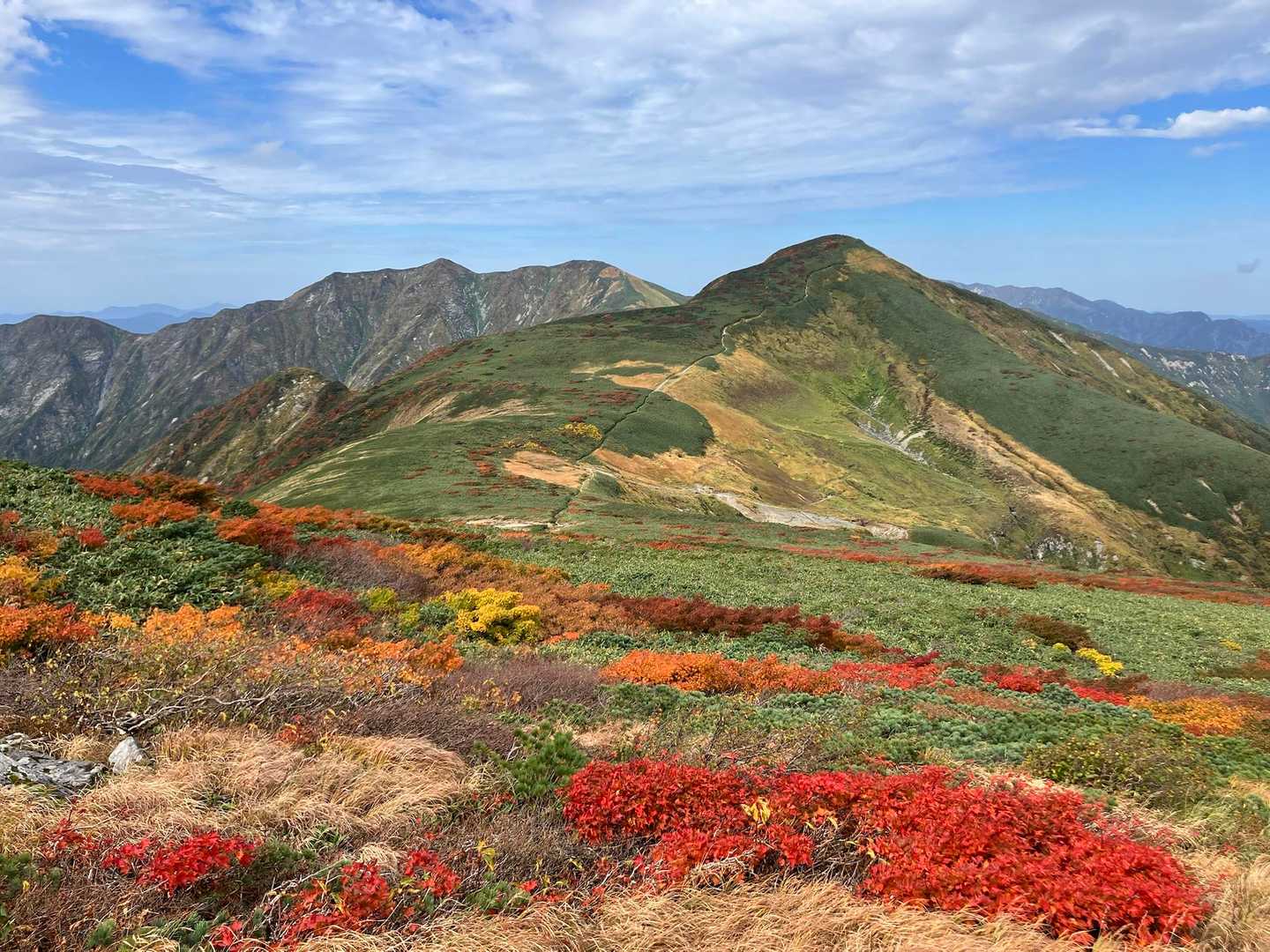 だってこの景色ヤバくね🤩