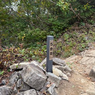 5合目に着きました😃

先に下山開始していたじょにーさんの相方さんとここで合流する🫡
長野県のヤマッパーさんは「歩くのが遅いので先に行きますね」と少しだけ早く出発🚶‍♀️
じょにーさんと一緒に追いかける格好になりましたが中々の健脚で追いつかない…😅