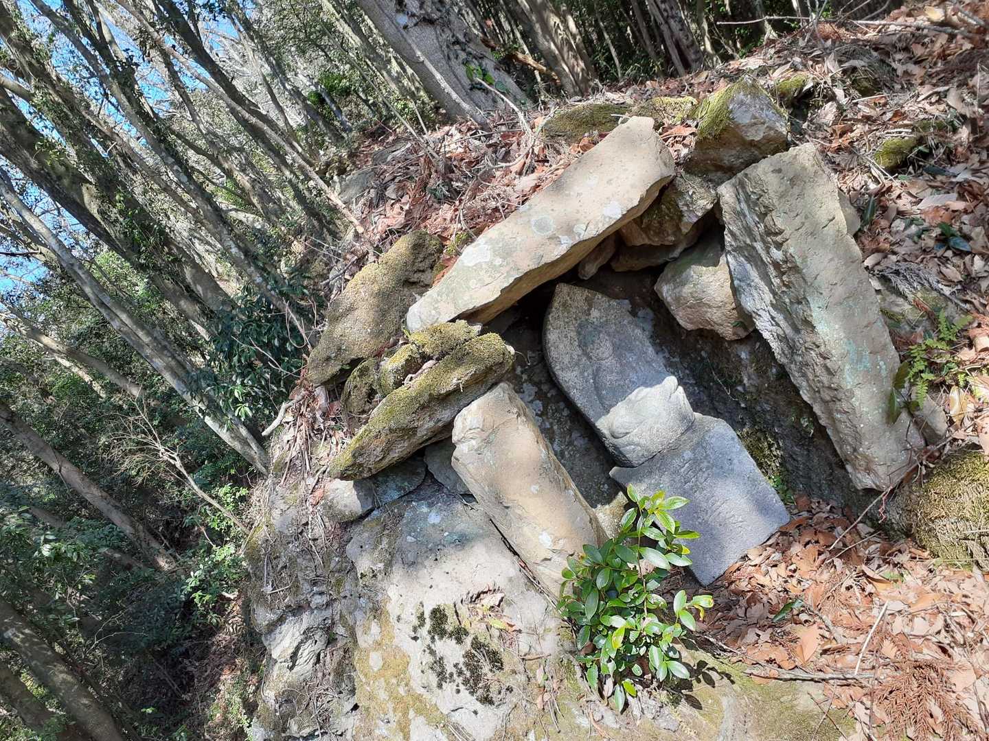 高瀬峡入口バス停-高瀬バス停-千石岳登山口-千石岳 周回コースの写真