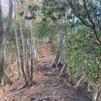 しっかり整備されています