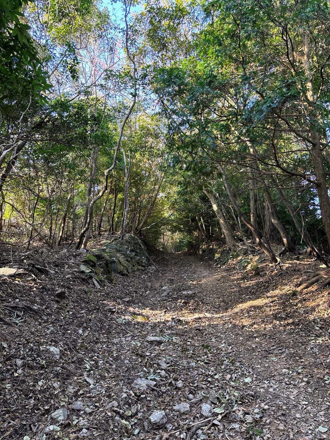 空の公園登山口-石槌山-色利山-元越山 往復コースの写真