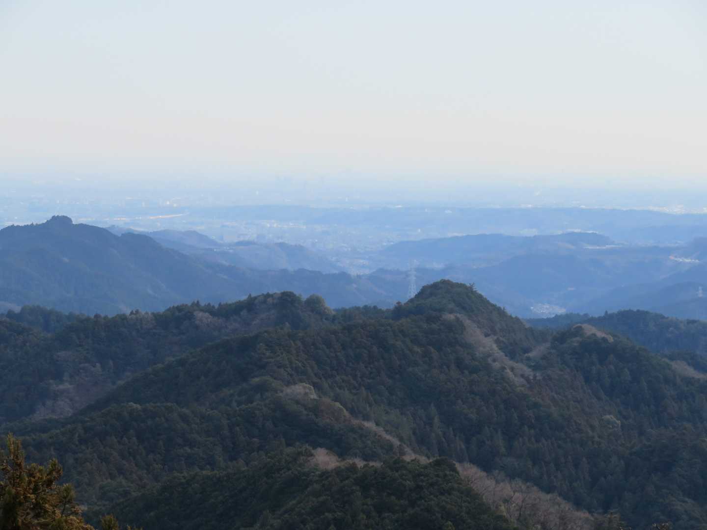 遠望します👀