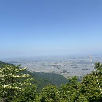 越後平野、素敵です