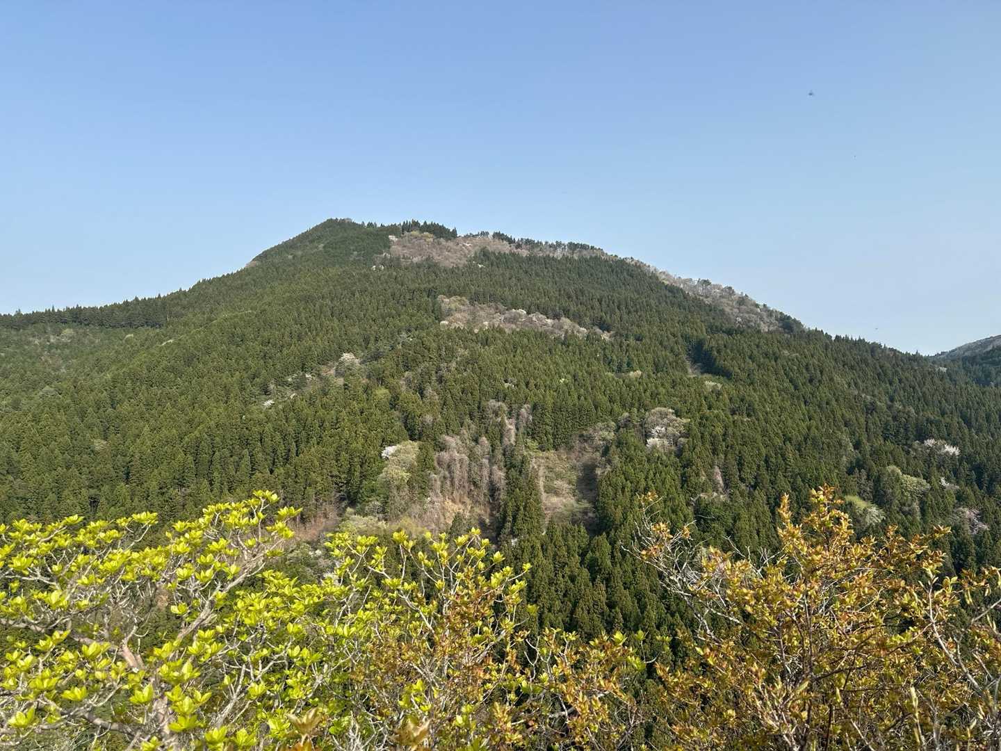 鍬柄岳登山口-鍬柄岳-大桁山-大桁山登山口-川後石峠 周回コースの写真